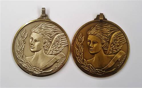 Lot De 12 Médailles Semeuse Avec Lauriers 6 Argent + 6 Bronze Ø 50 Mm