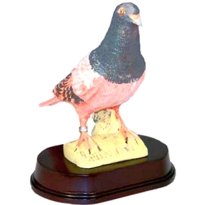 Trophée Résine Pigeon Voyageur Bague - Haut. 22 Cm
