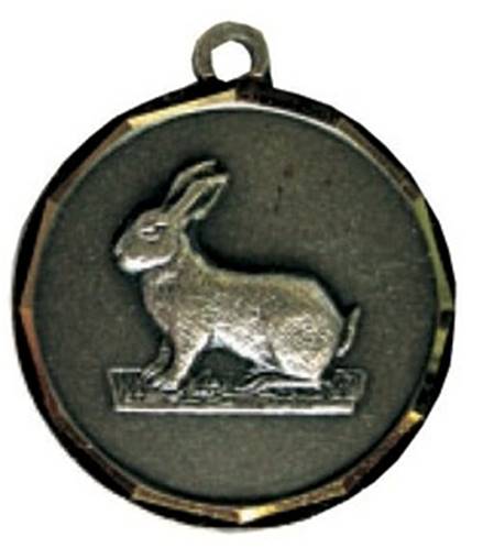 Médaille Laiton Frappée Lapin 32 Mm - Couleur Selon Stock